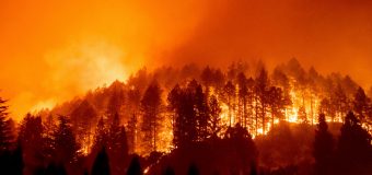 California wildfires shatter records, double in size from 2019