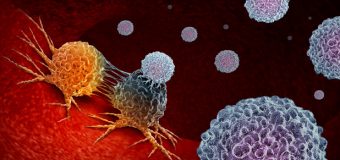 Israeli scientists: New cancer treatment like using ‘tiny scissors’ to hit cells
